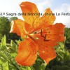 01_IniziaSagra6301